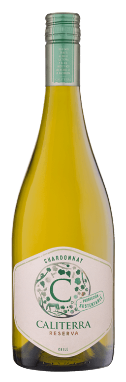 bottleshot-5